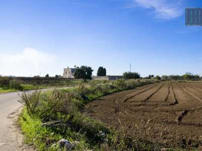 Tra i campi coltivati si scorge in lontananza l'alto muro di cinta della residenza storica Torre di Reddito 